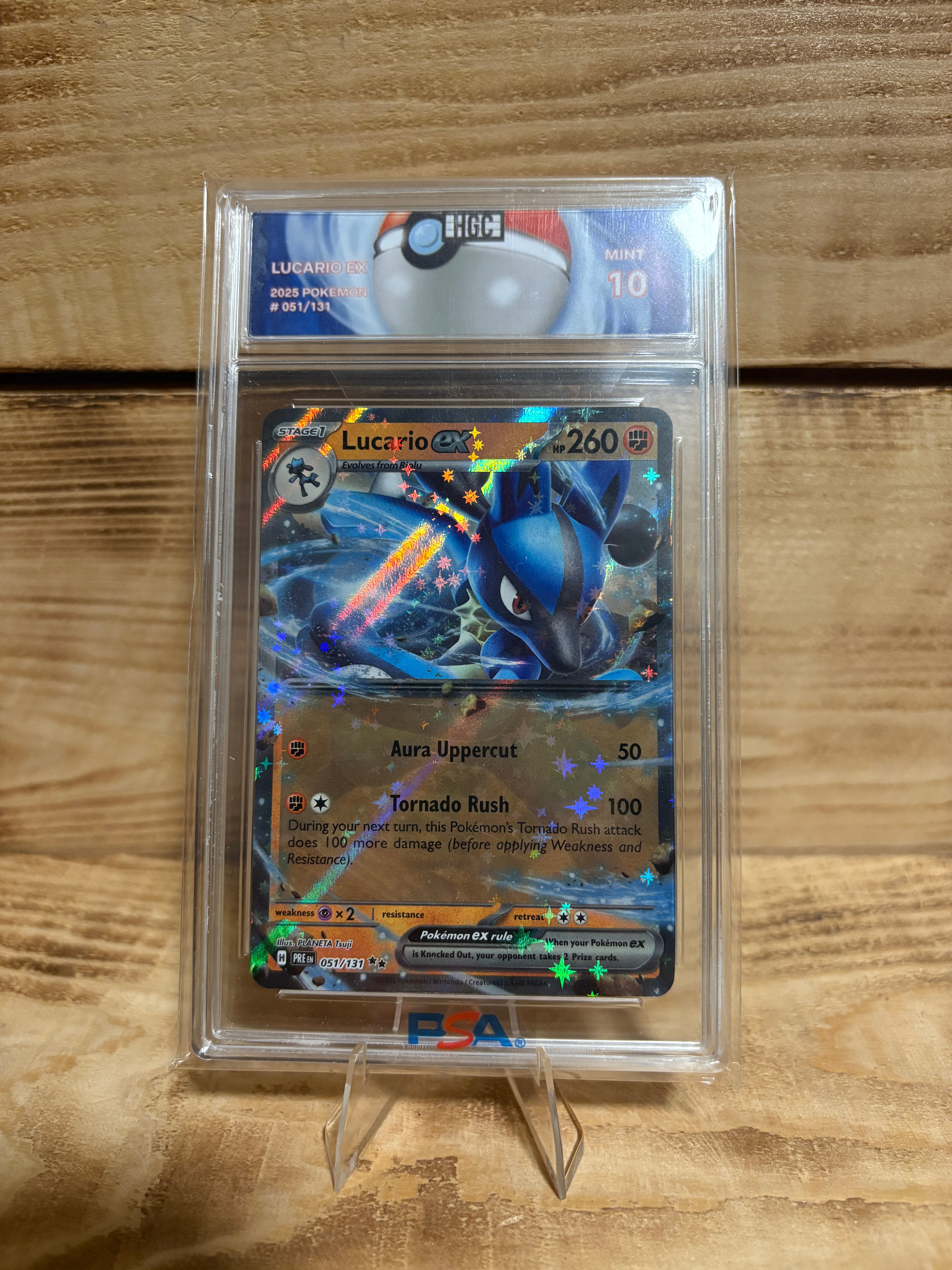 Pokemon Lucario HGC 10