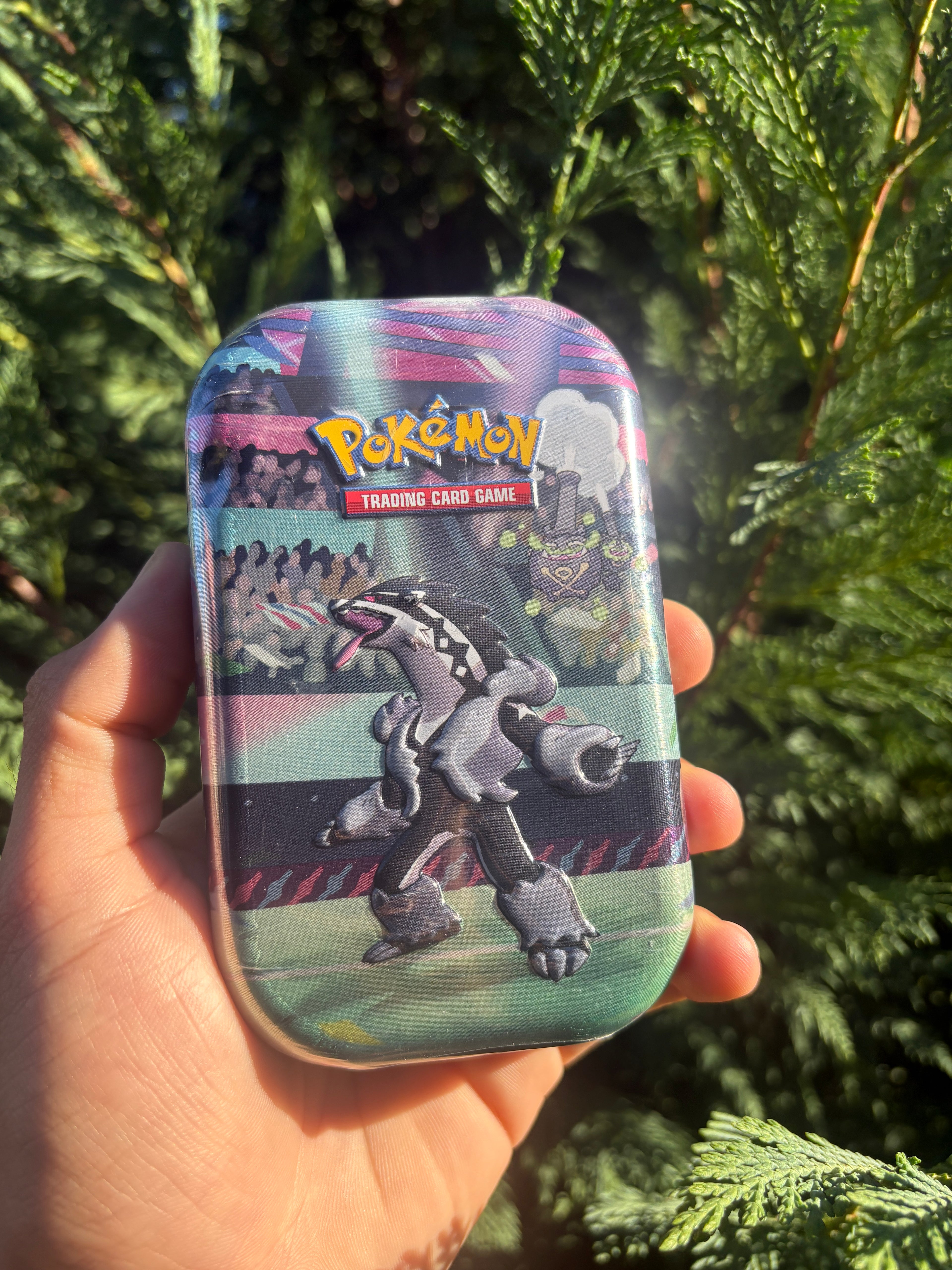Galar Power Mini Tin [Galarian Obstagoon]